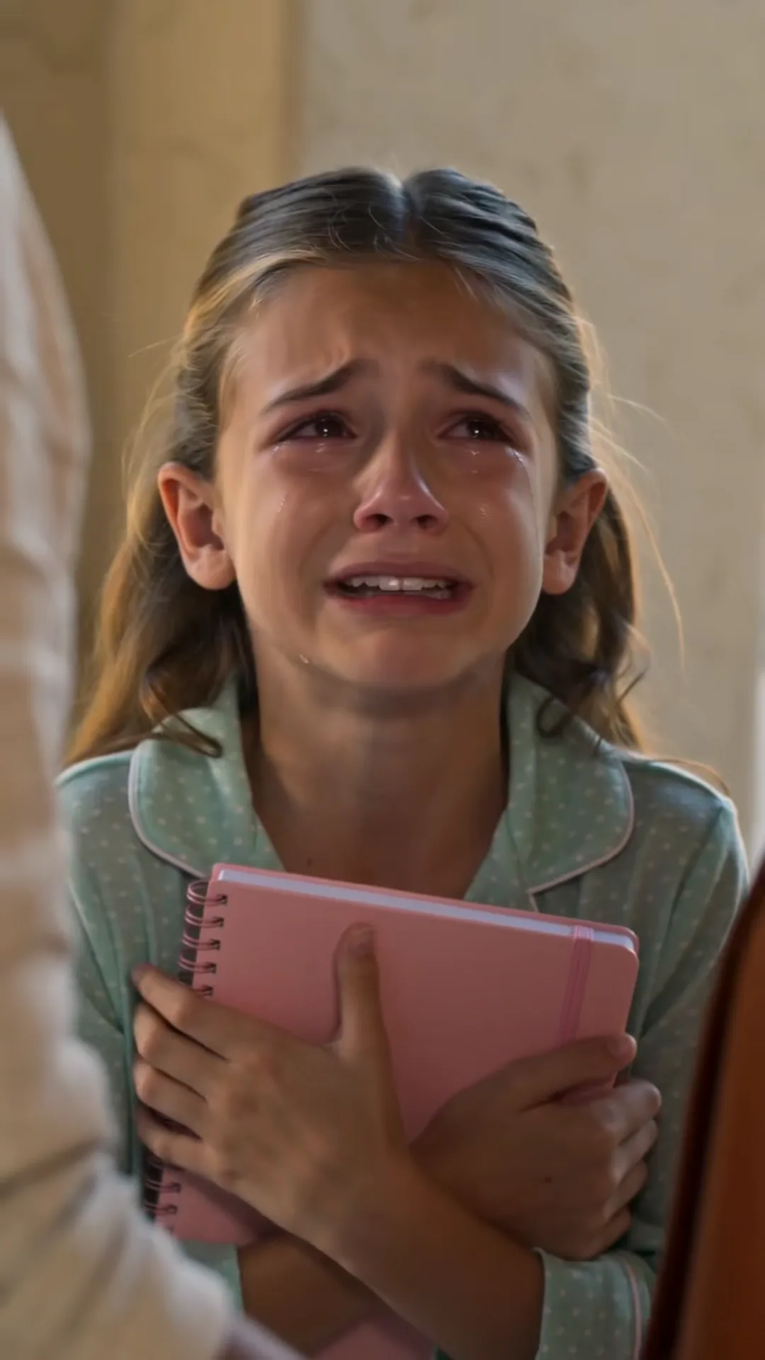 THE PINK NOTEBOOK