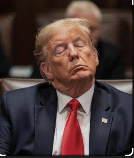 Donald Trump's Silent Moment in Washihngton: A Pause That Spoke Volumeshnh