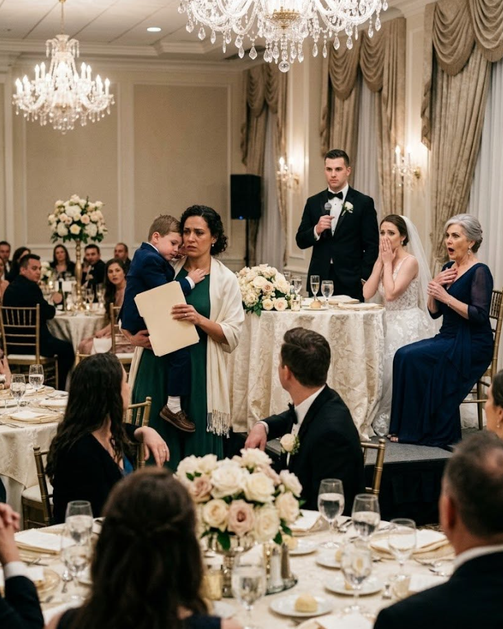 My sister raised a champagne glass at her wedding, pointed at me holding my son by the ballroom doors, and said, "Does anyone want a single mom no one wanted? The kid comes with issues." Then my mother leaned into her microphone and called my little boy "defective."