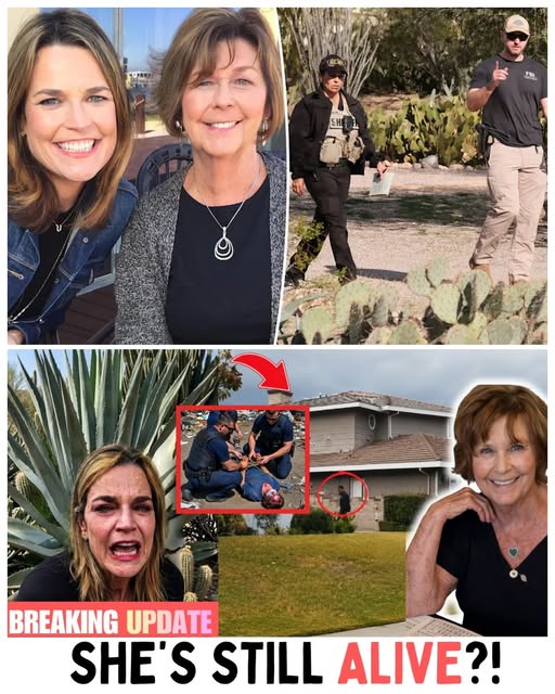FBI Agent BREAKS SILENCE On Annie & Tomaso — What REALLY Happened?